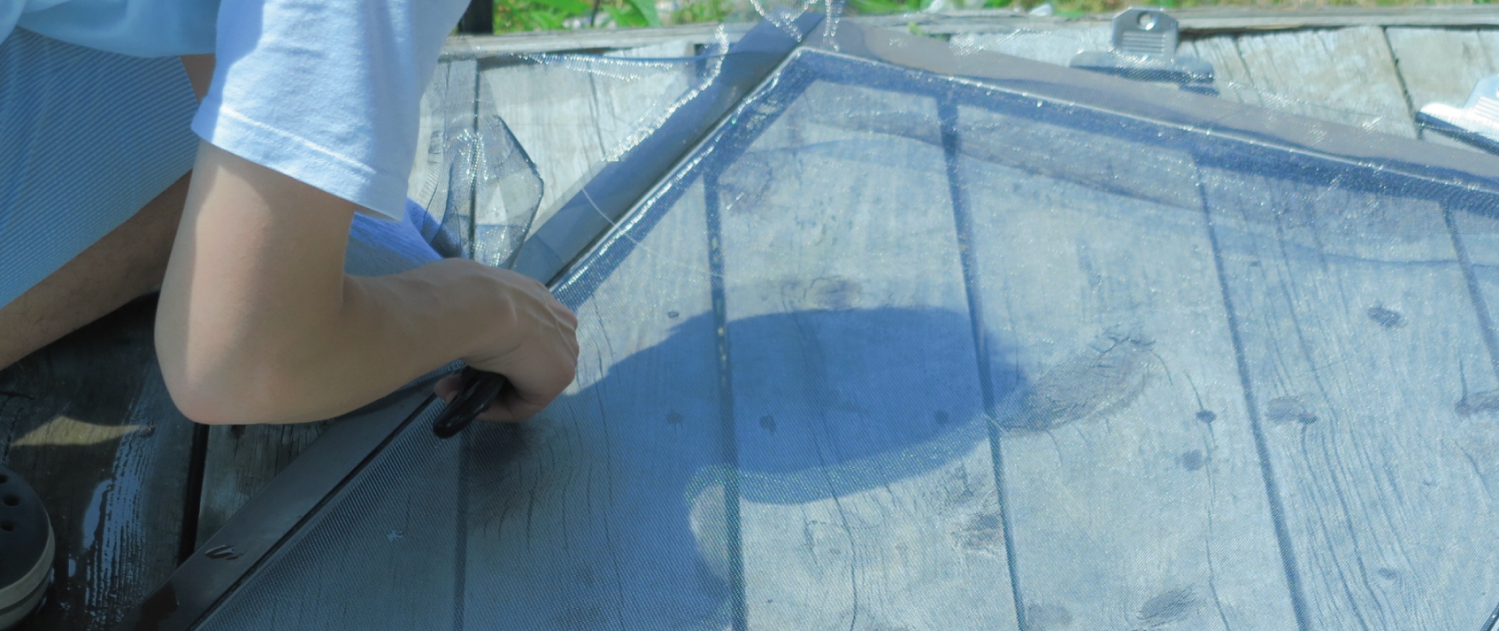 網戸（あみど）張替え